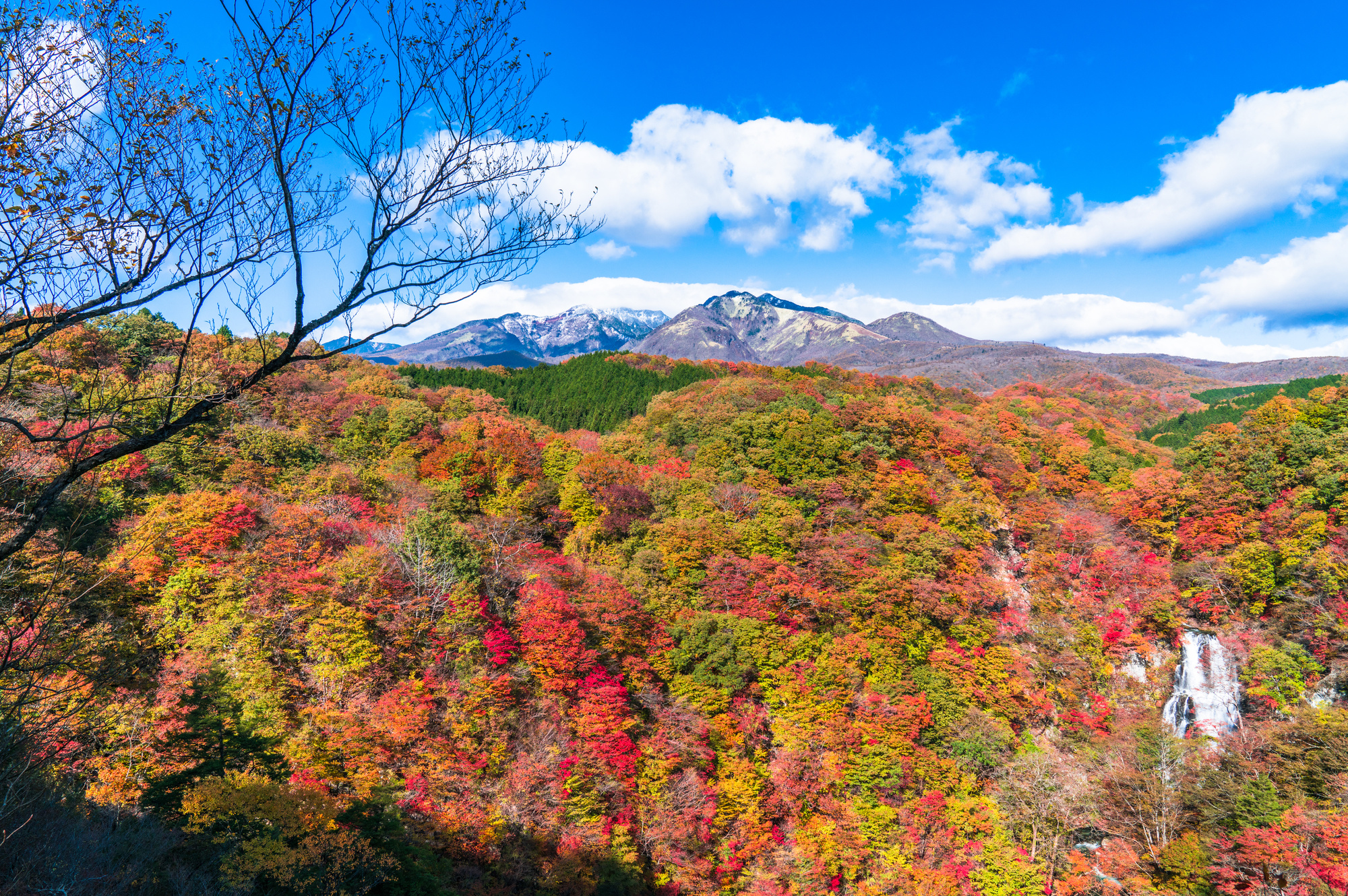 いろは坂 紅葉 栃木