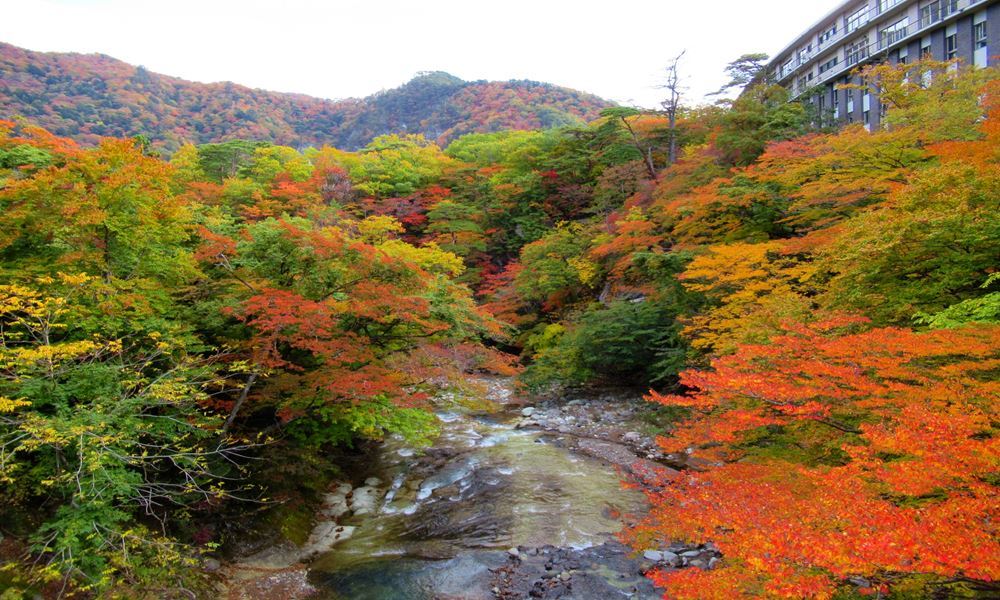 宇都宮ホテル丸治 観光地 塩原温泉
