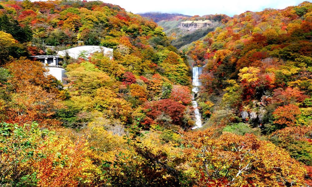 宇都宮ホテル丸治 観光地 いろは坂 紅葉