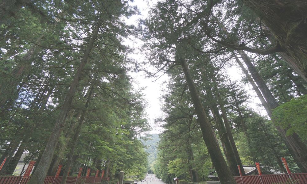 宇都宮ホテル丸治 観光地 日光東照宮