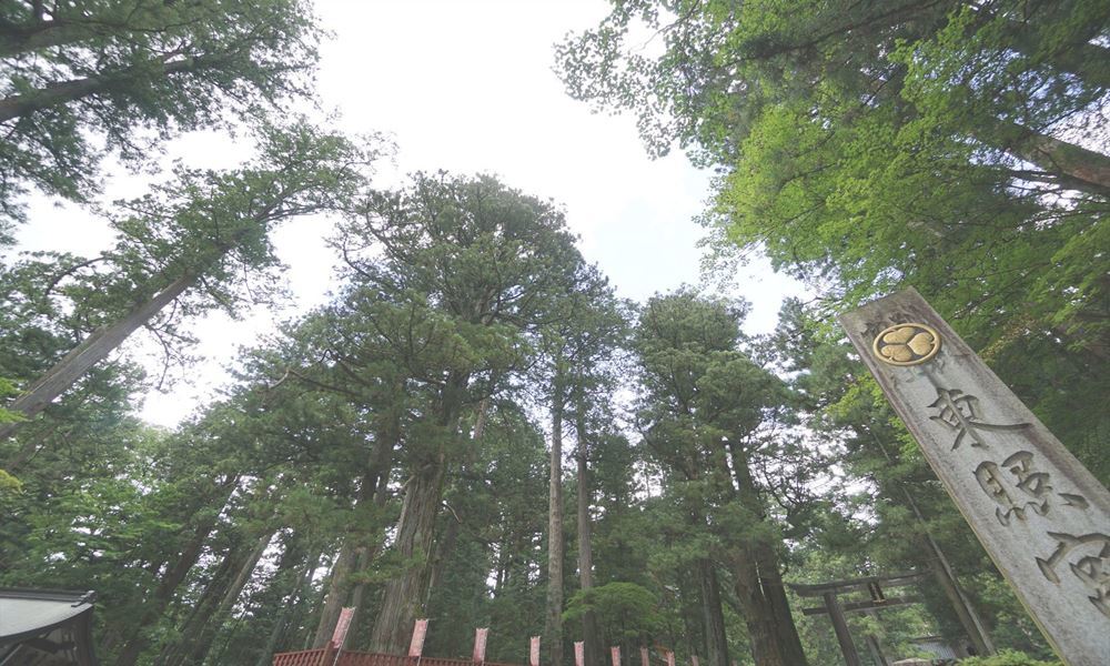 宇都宮ホテル丸治 観光地 日光東照宮