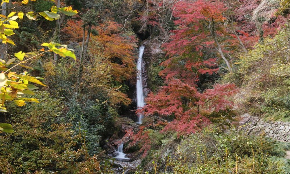宇都宮ホテル丸治 観光地 華厳の滝