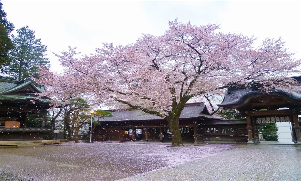 宇都宮二荒山神社
