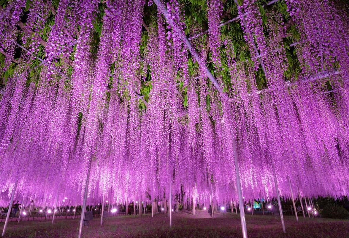 宇都宮観光名所