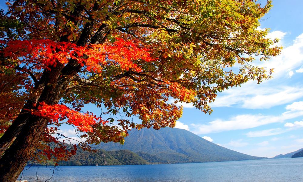 宇都宮ホテル丸治　観光地　中禅寺温泉　中禅寺湖