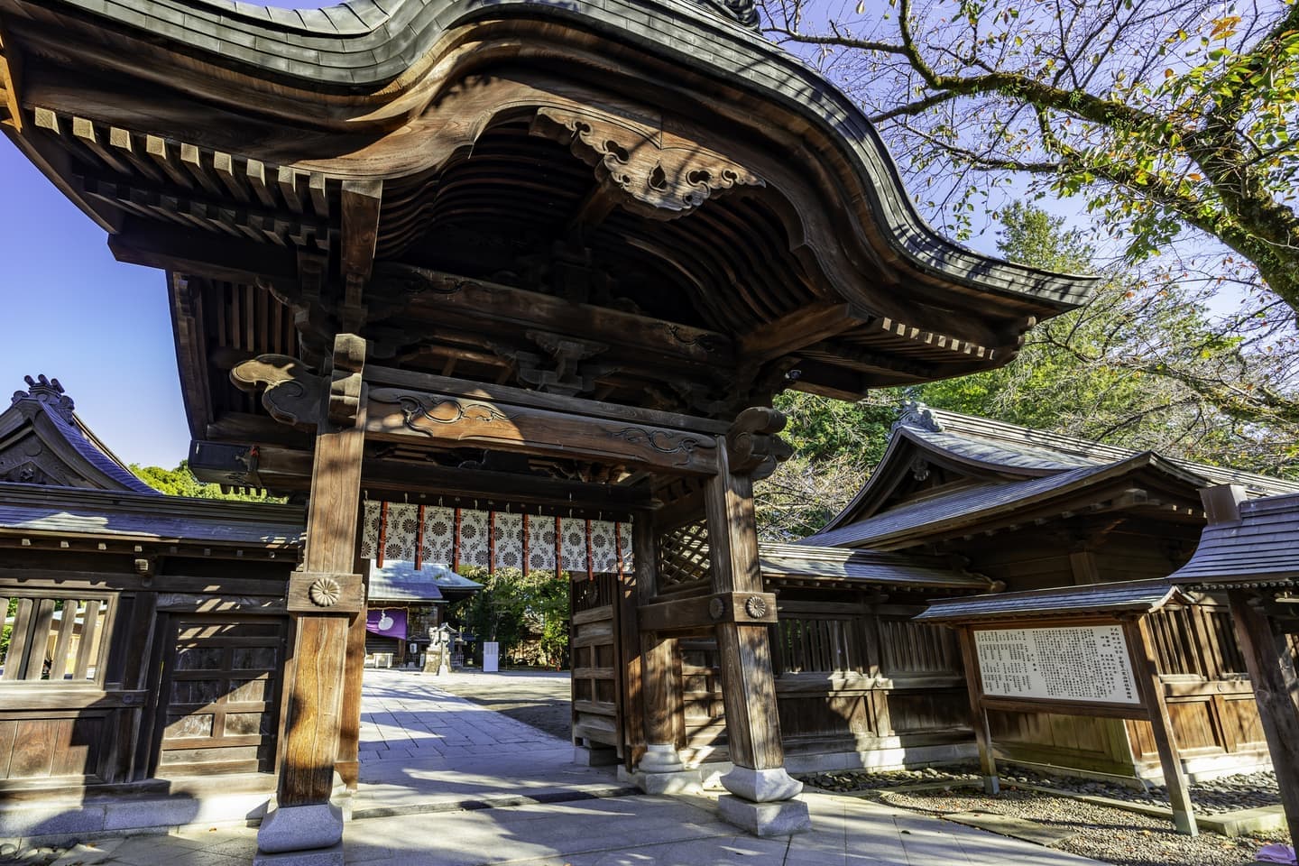 【初夏の宇都宮さんぽ】丸治から歩いてすぐ。新緑の「二荒山神社」でパワーチャージ